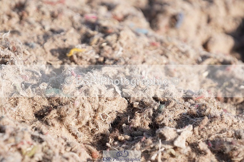 250622-081816-12951 - Cls 46 FreeStyle Prelim Inc Presentations