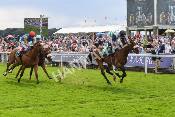 250823-Race 2-Coltrane-0340 - Race 2 2.25pm Weatherbys Hamilton Lonsdale Cup Stakes