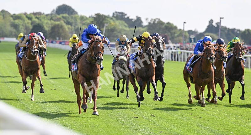 220826-063 Notable Speech - Race 3 15.00pm Sky Bet City Of York Stakes