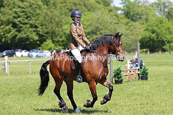 IMG_3909 - Working Hunter