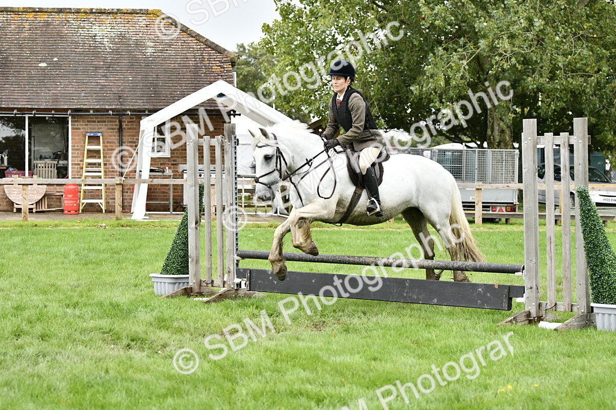 SBM_42269 - S32 - Mountain & Moorland Working Hunter Pony