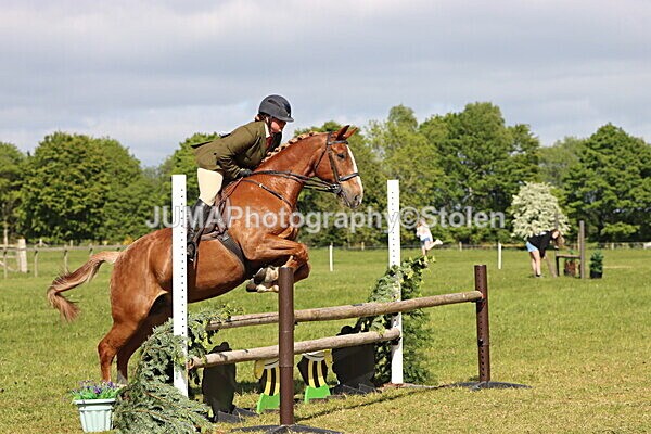 IMG_4885 - Working Hunter