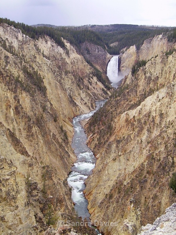  - Yellowstone