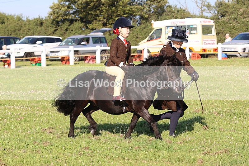 JPP_0837 - Class 16: Cornish Combination Leading Rein