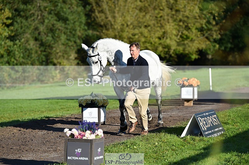 231022-094818-22037 - 463-HOLOGRAM.SCAIS-Chris.Brentnall-TrotUp+SJ