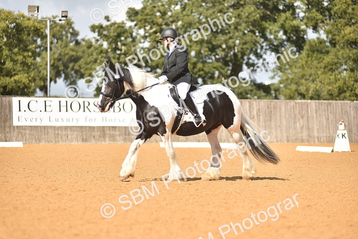 SBM_03377 - D4 - Small Tour Championship Intro 4