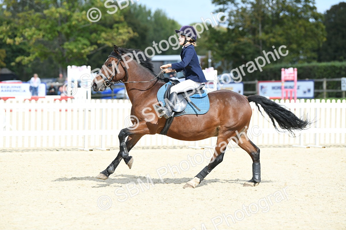 SBM_64837 - J48 - Pairs Jumping Open 70cm & 85cm