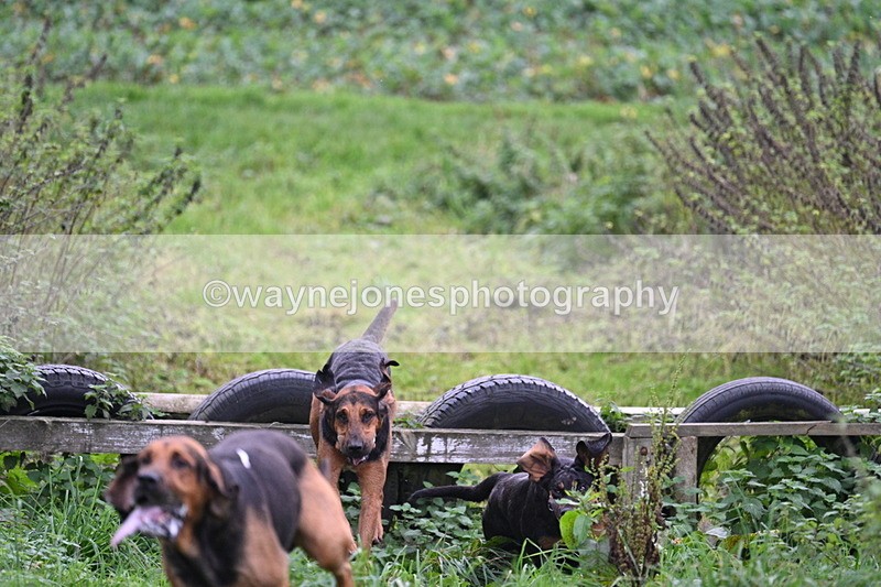 WJ7_8941 - Camera 1 only on this line