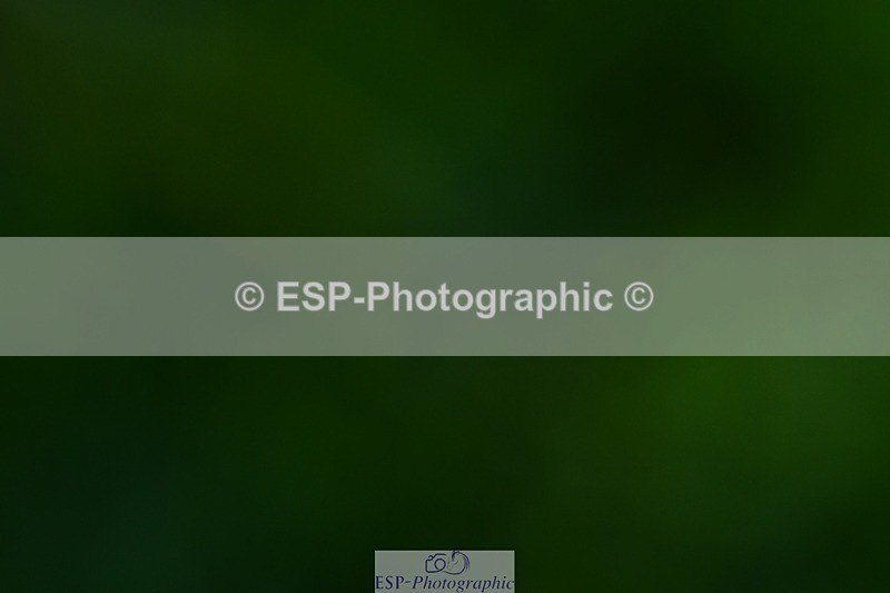 231110-112843-01235 - Cls 5 Elementary 43