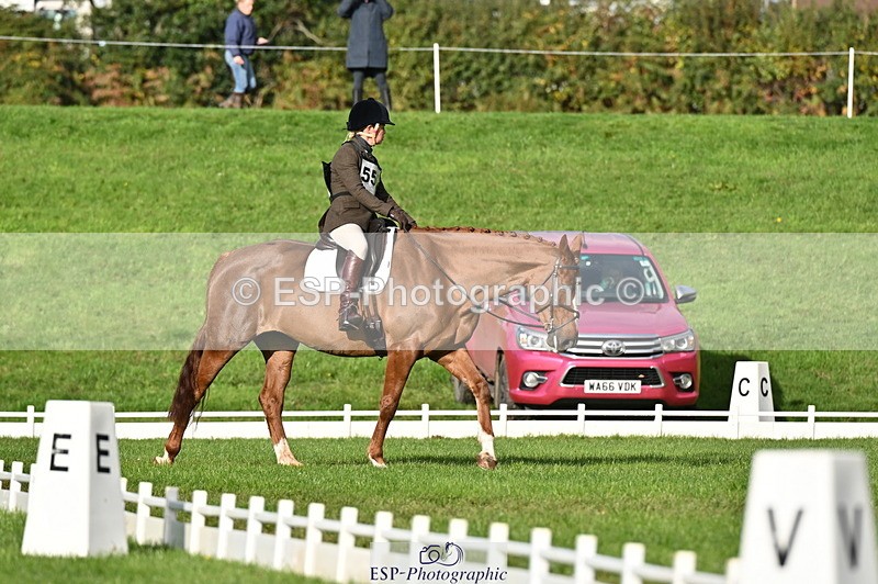 251024A-102722-08329 - G-556-Abi.Jacobs