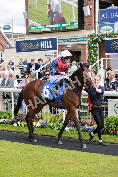 yr21052022r5-8 - Race 5: 4:07pm Phoebe Johnson Celebration EBF Restricted Novice Stakes