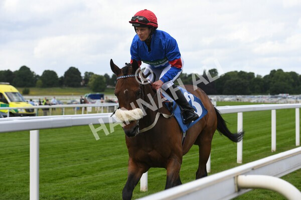 yr11062022r2-13 - Race 2 2.00pm Queen Mother's Cup