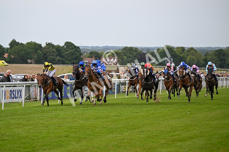 050724-Race 4-This Years Love-2097 - Race 4