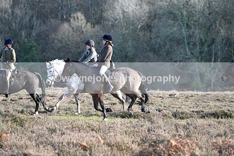 WJ7_7949 - Line 3 (no line 4 or 5)