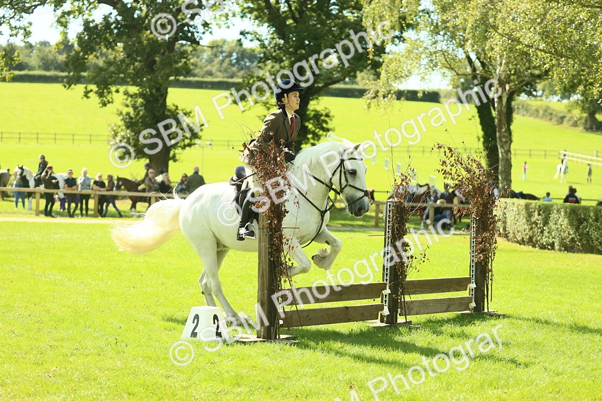 SBM_41982 - S29 - Novice & Newcomers Working Hunter Pony