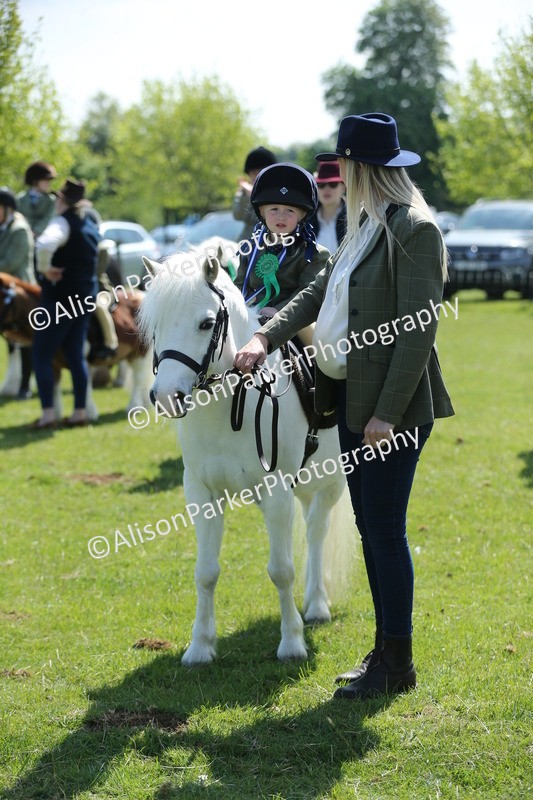 20250427-2759 - Class 6 - Pony Judge Would Most Like To Take Home