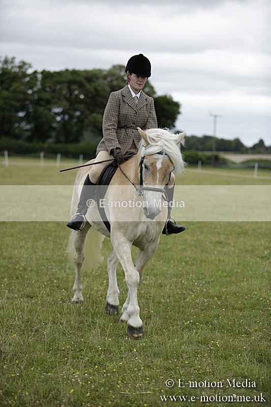 BVR160717-1525 - Ring 1 BVRC Show 16/07/17