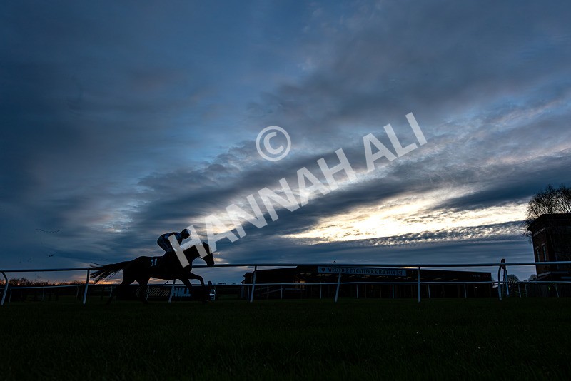 211125-Race 7-Nimba-3417 - Race 7