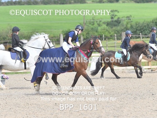 BPP_1601 - DERBY CLASS 3 - 40CM