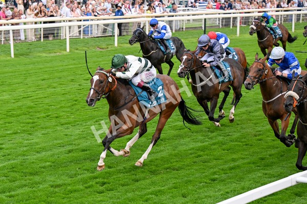 250725-Race 6-Luna A Inbhir Nis-0841 - Race 6 8.23pm Sky Bet Go-Racing-In-Yorkshire Summer Festival Handicap