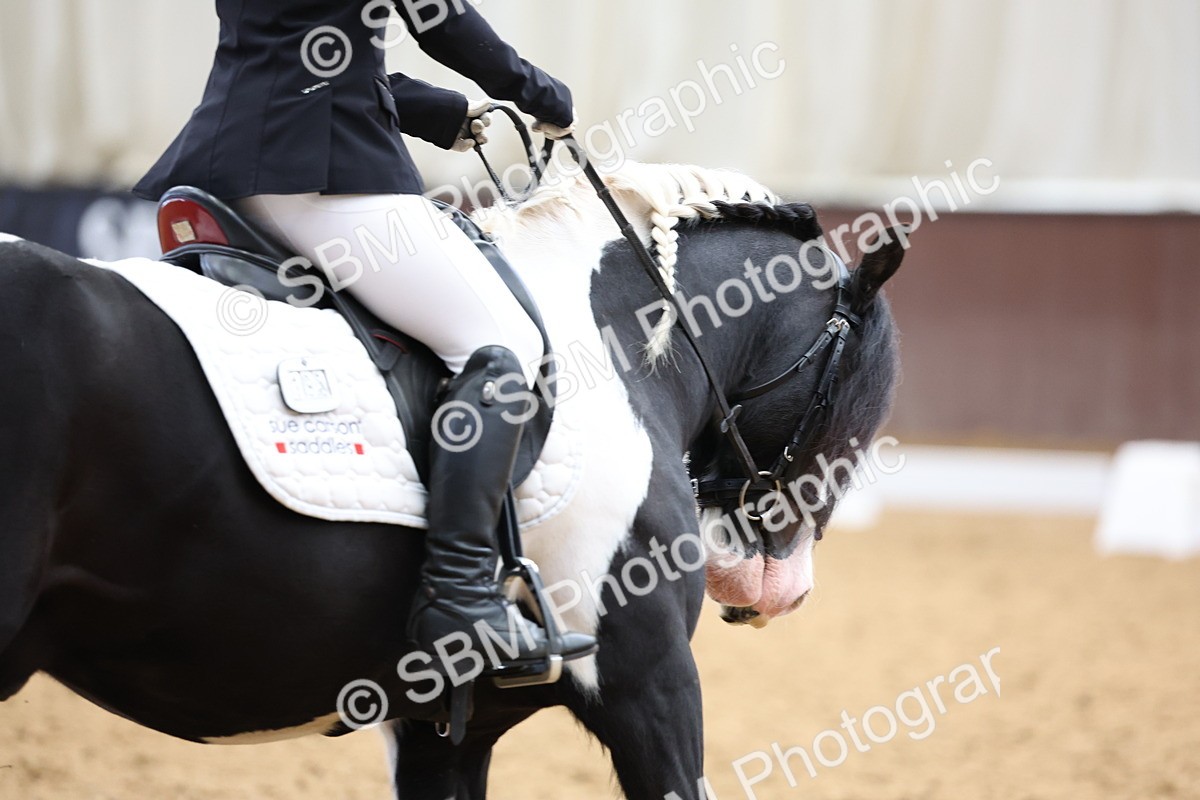 SBM_015993 - Class 15 - Novice FSM - 9.50 - 11.10