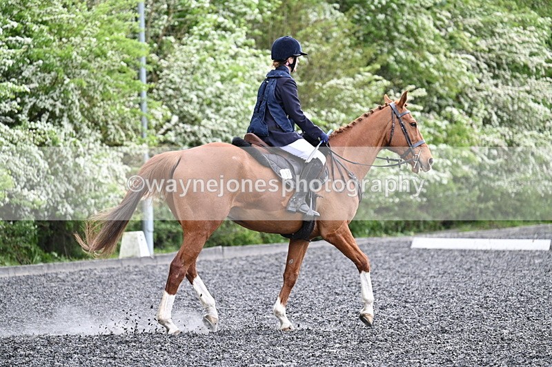 WJ7_0744 - Time 14:01 to 14:12