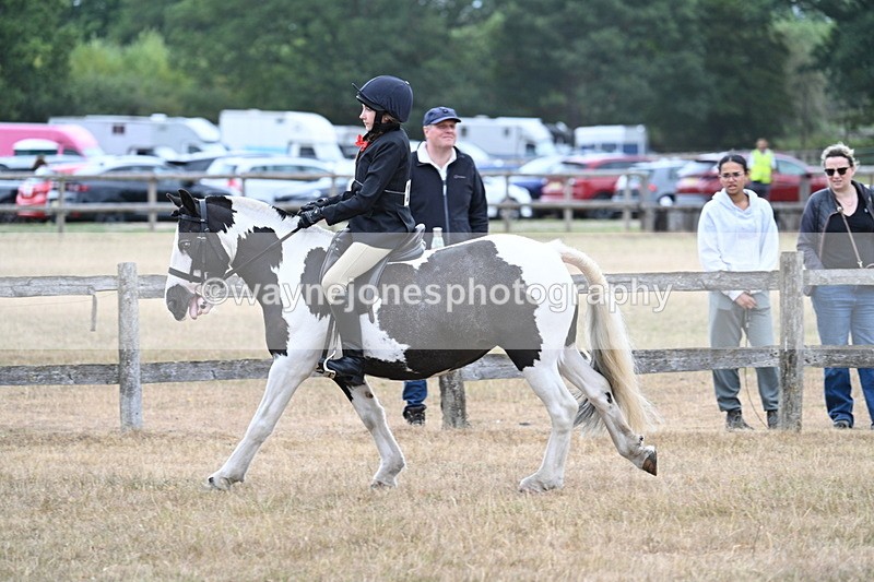 WJ7_7301 - Class 2 Best Rider