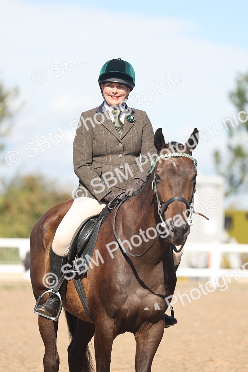 SBM_13114 - Class 305 - Ridden Foreign Breed Pure Bred