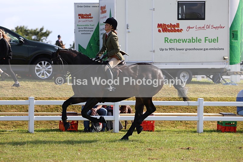 3E7A8658 - Class 3: Rising Star S/L Hunter