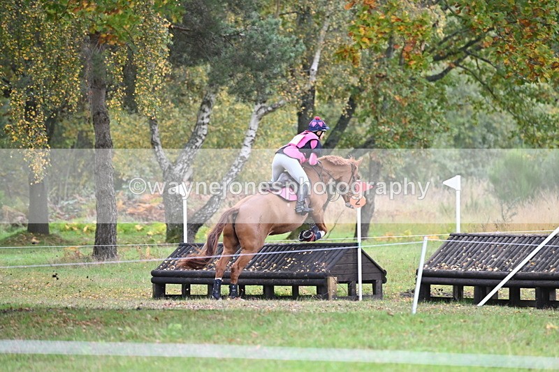 WJ6_4038 - 90cm Cam 1 Time 14:05 to 14:35