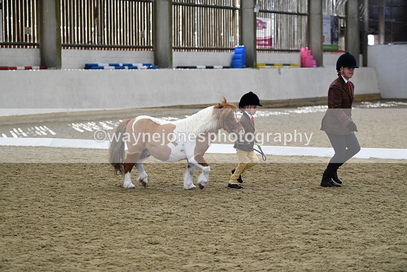 WJ5_4913 - Class 7 In hand coloured / odd coloured