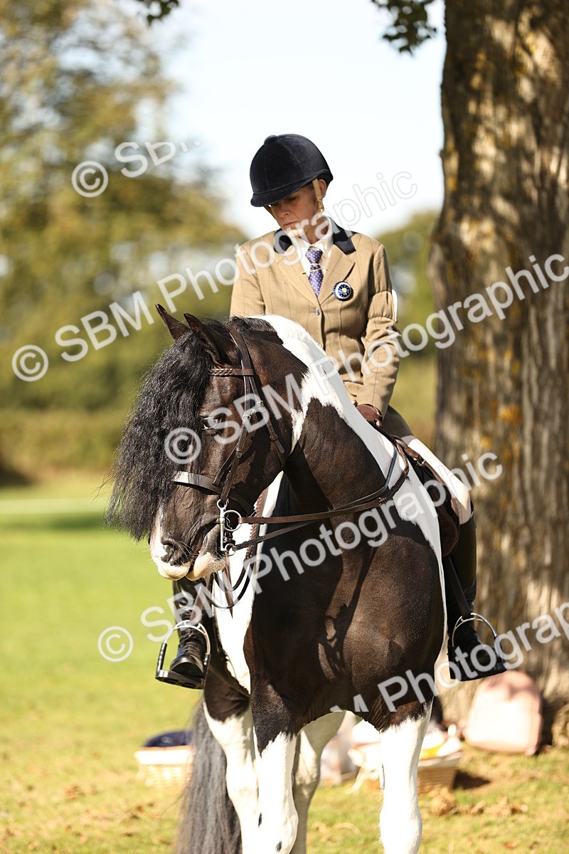 SBM_17012 - S2 - TSR Ridden Pony Showing