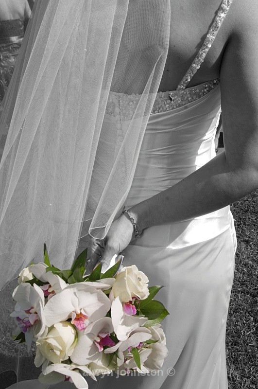  - Weddings Phots Alwyn Johnston