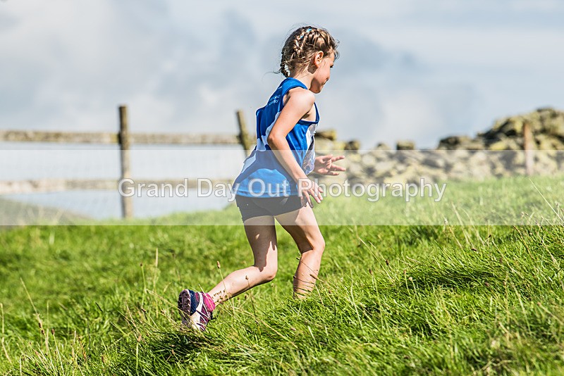 Loweswater Show-96 - Loweswater Show Junior & Senior Fell Races Sunday 3rd September 2023