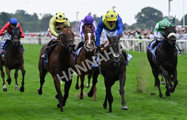 230825-075 Never So Brave - Race 3 3.00pm Sky Bet City Of York Stakes