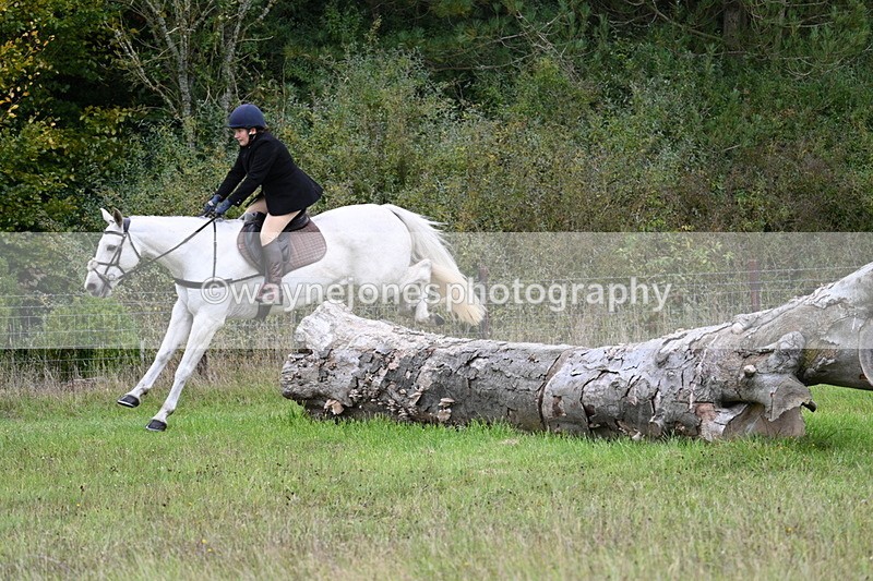 WJ7_3686 - Camera 1 Line 1