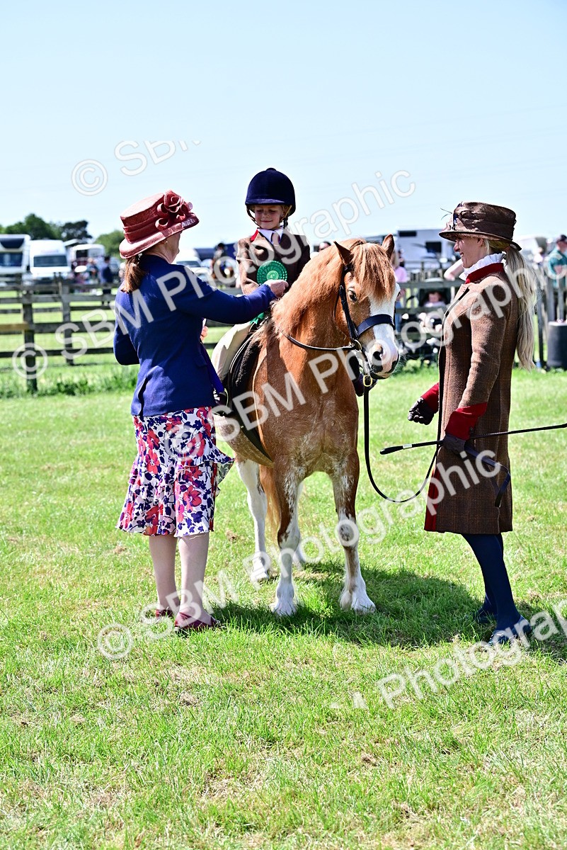SBM_05961 - Class 59-60 - TSR M&M  Lear Rein and First Ridden Amateur of the year