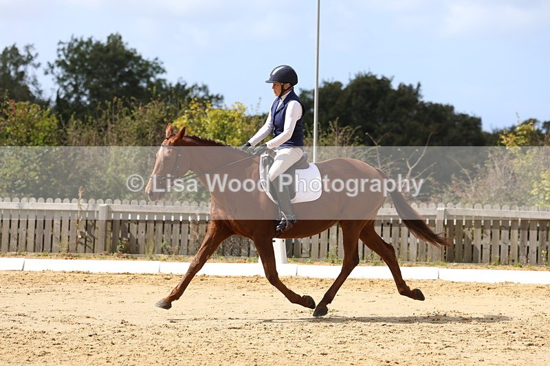 3E7A3997 - Class 9: Novice 6 Section B Championship