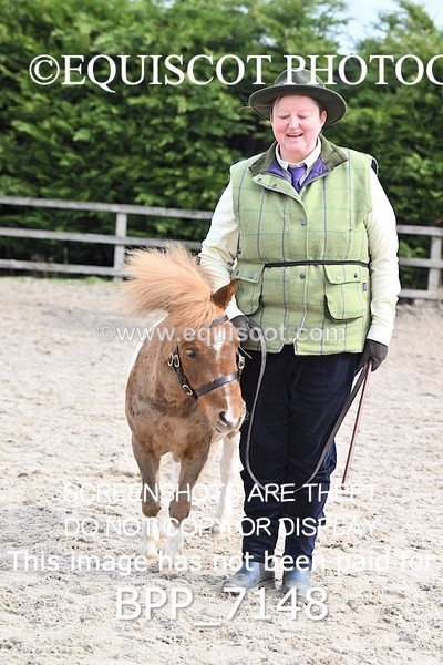 BPP_7148 - RING 1  (RIDDEN HORSES / IN HAND / VETERAN ETC)