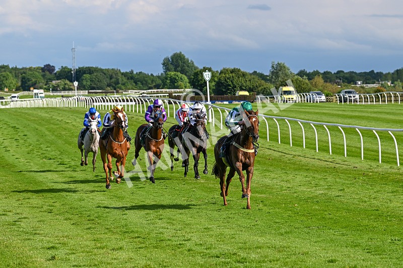 180624-Race 6-Infinite Honour-0746 - Race 6