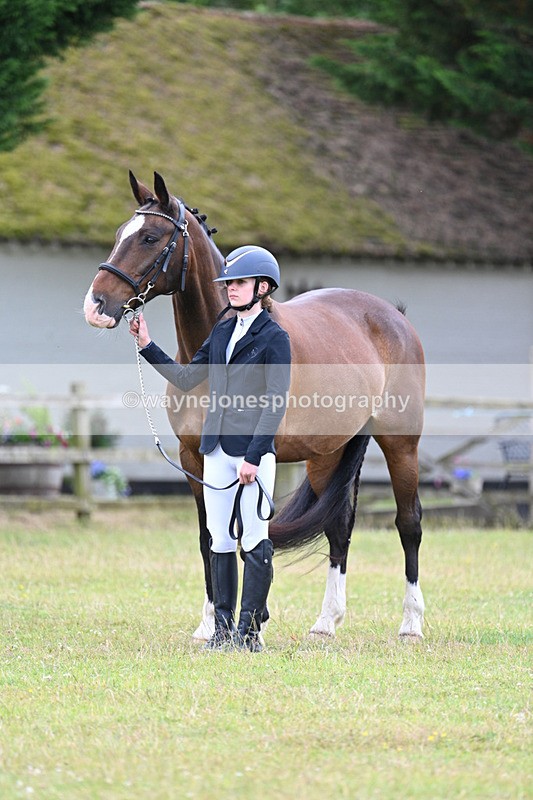 WJ7_7018 - Class 5a Most Handsome Gelding in Hand