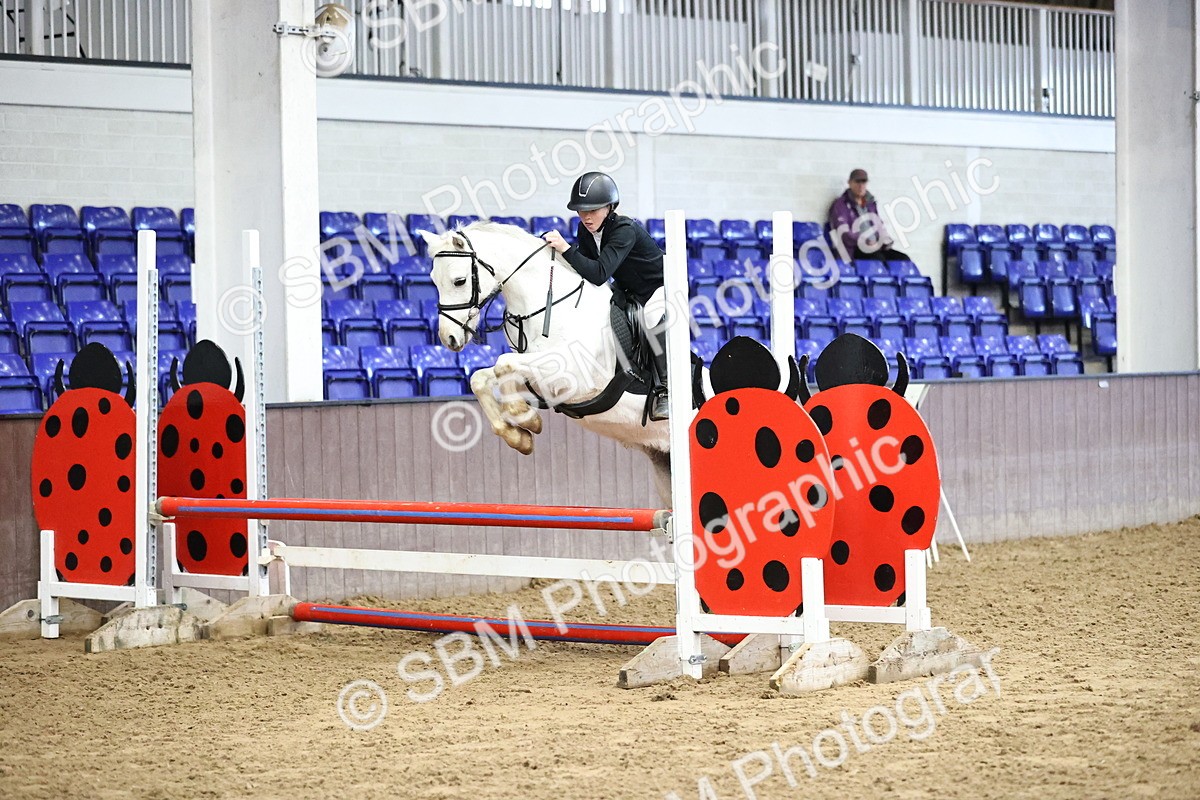 SBM_001509 - Class 9 - Pony British Novice 80cm