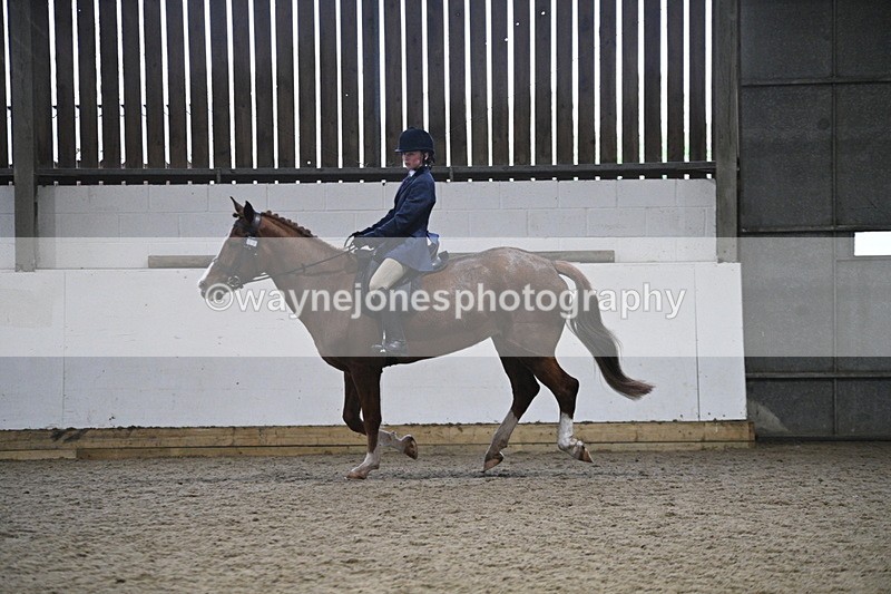 WJ7_4145 - Class 17 Ridden Cob