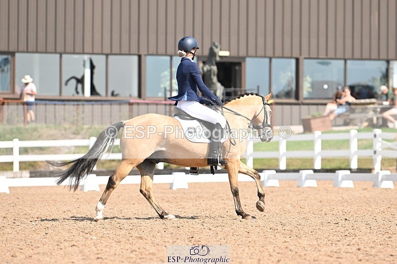 250816-120300-04411 - 060-Felicity.HendySheepcote.Champion.Star