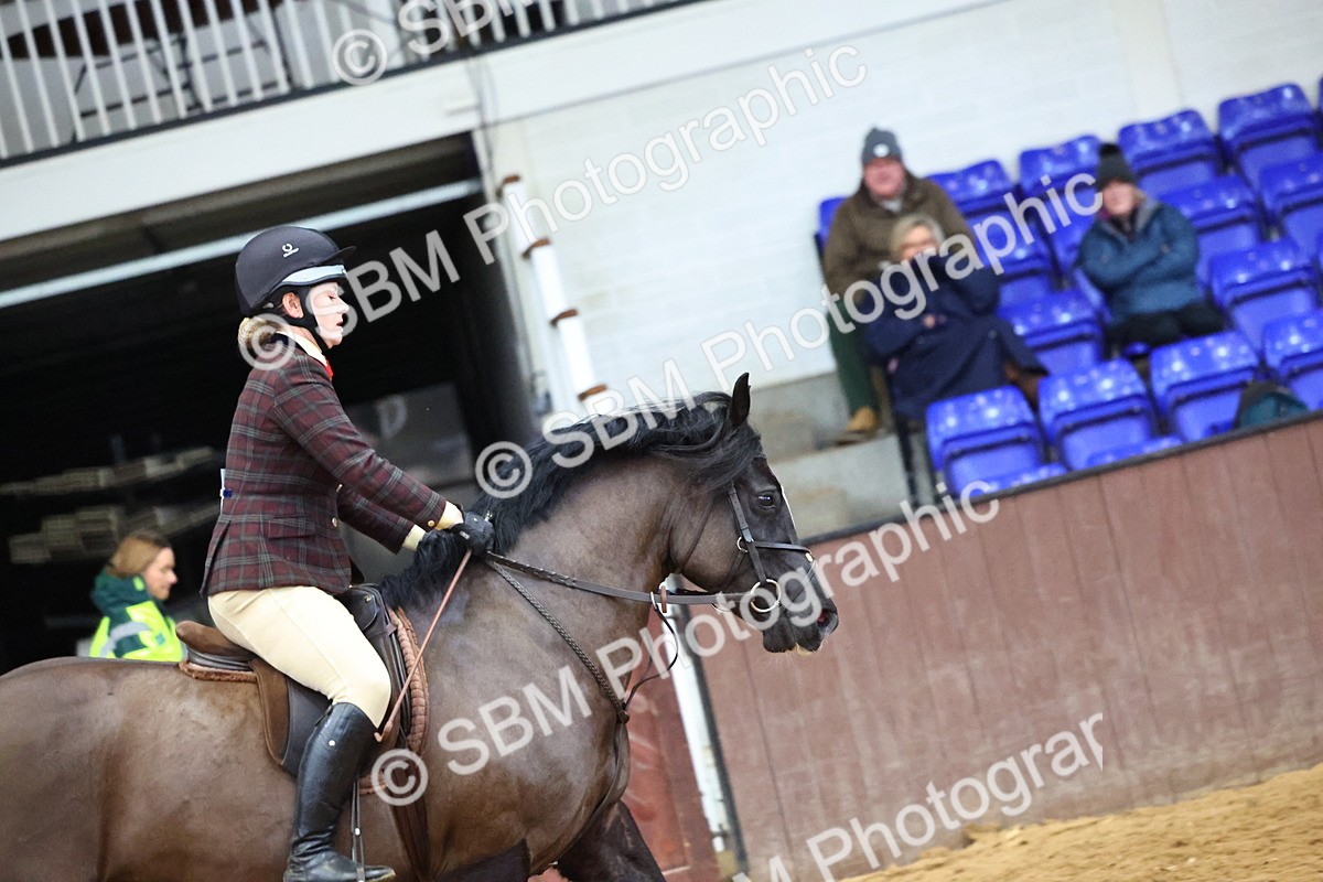 SBM_006570 - Class 43 - RIHS Qualifier Exceeding 43cms