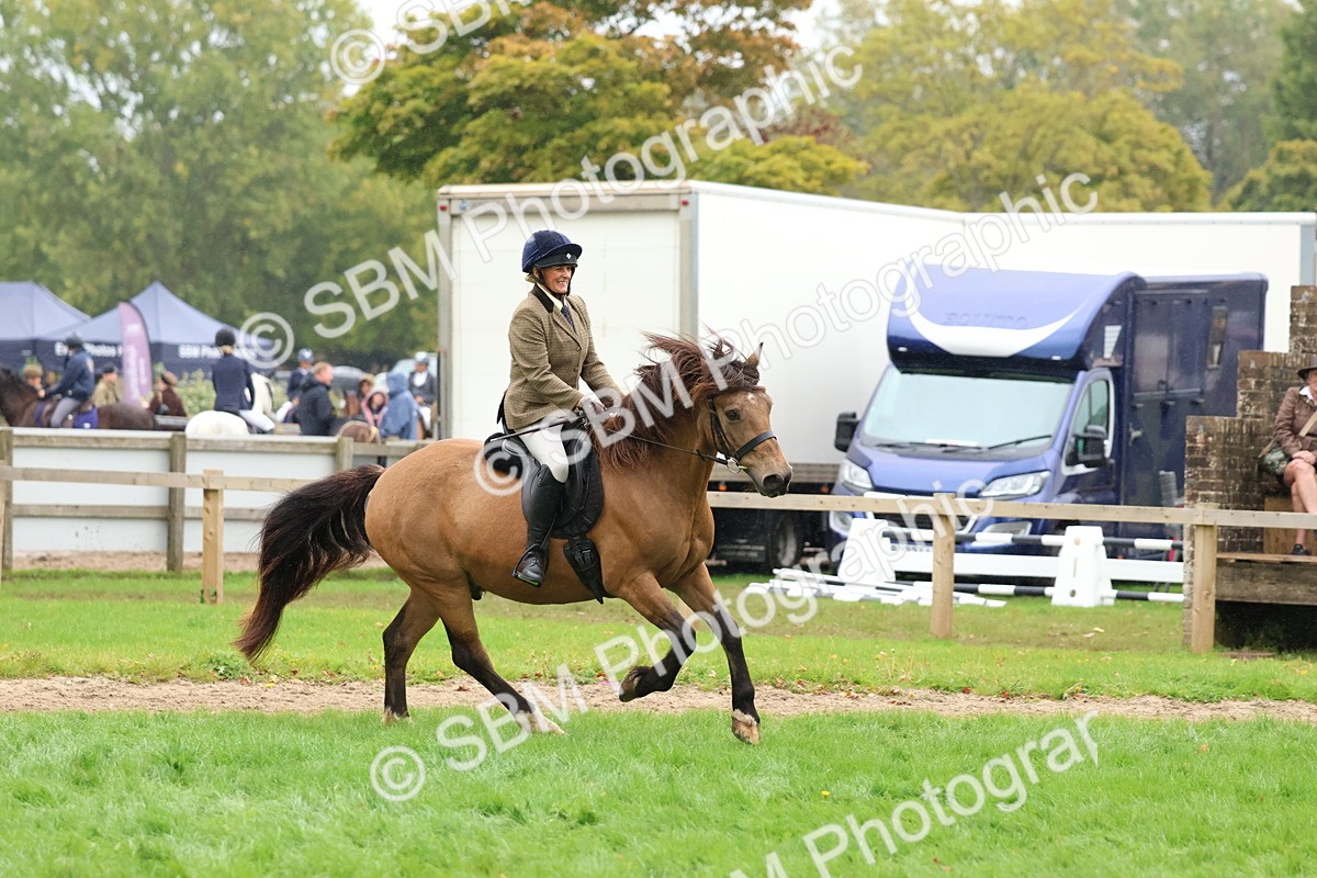 SBM_69673 - S62 - Mountain & Moorland Ridden Large Breeds