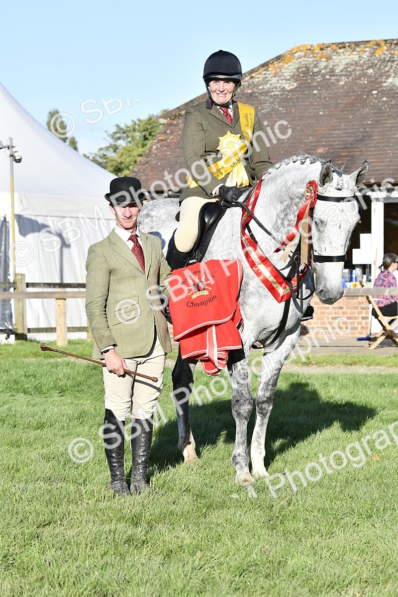 SBM_51763 - Working Hunter Supreme Championship