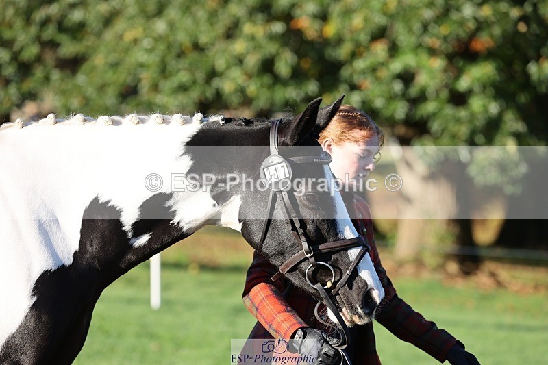 241027-083935-14727 - 317-Maddy.Greenaway-SPECIAL.VAN.DE.SMEDENPOORT