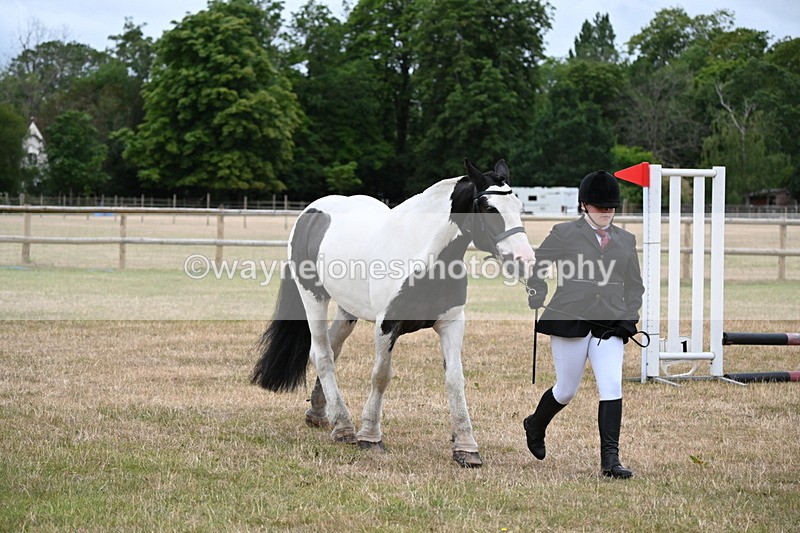 WJ6_4367 - Class 10 Coloured In-hand