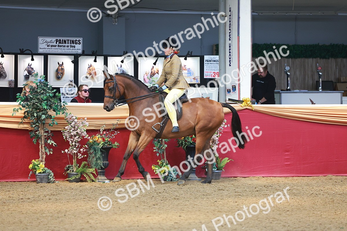 SBM_12589 - Class 103 - HOYS Veteran Qualifier - Ridden Pre Vet